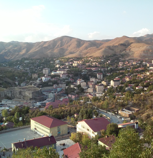Bitlis