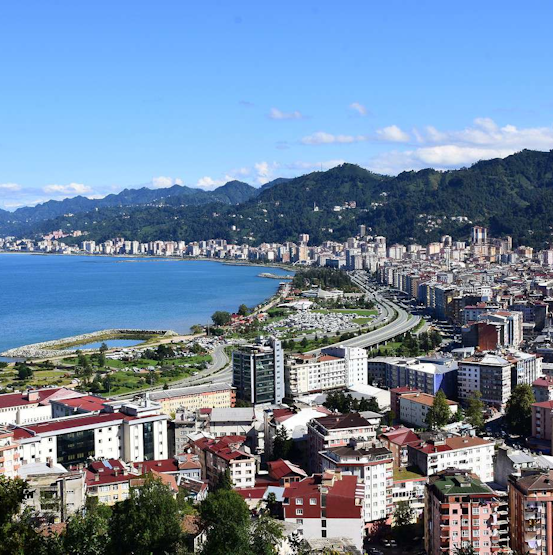 Rize